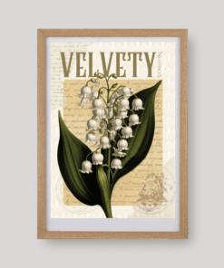 Floral & Fruit No. 40 botanikus art print A4 méretben