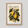 Floral & Fruit No. 35 botanikus art print A4 méretben