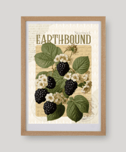 Floral & Fruit No. 15 botanikus art print A4 méretben