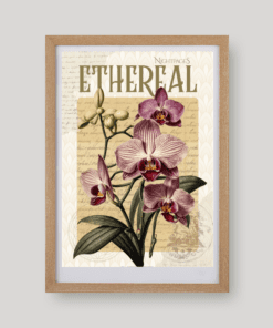 Floral & Fruit No. 6 botanikus art print A4 méretben