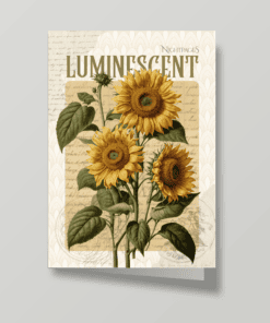 Napraforgó botanikus illusztrációja képeslapon, a NightPages Floral & Fruit Napraforgó kollekciójából